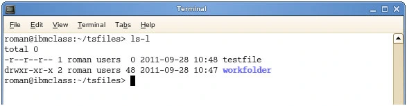 Where to input chmod commands in terminal